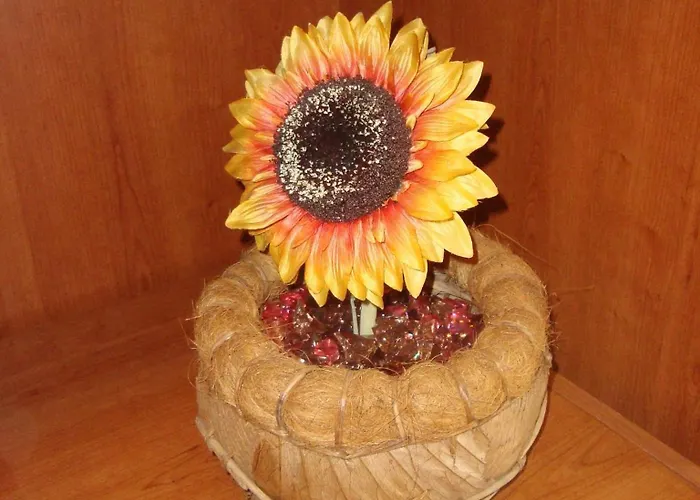 Piazza Ragusa 住宿加早餐酒店 罗马